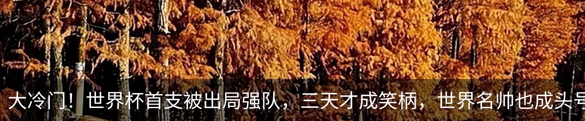 新闻动态