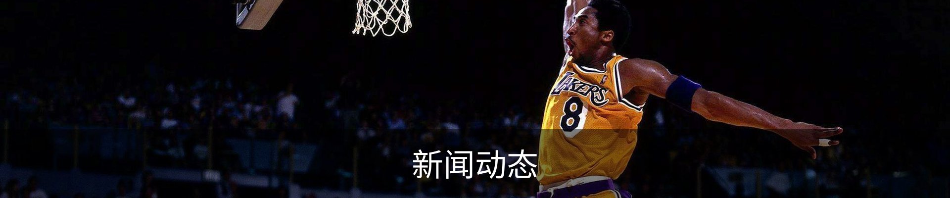 新闻动态